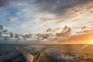 beautiful ocean sunset with boat wake